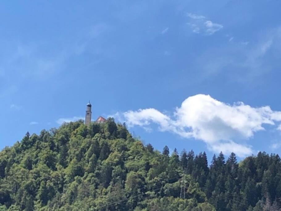 Holiday Guesthouse La Casina Di Butzi Pet Friendly - Terme Di Arta - Zoncolan Арта-Терме Экстерьер фото