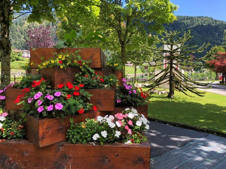 Holiday Guesthouse La Casina Di Butzi Pet Friendly - Terme Di Arta - Zoncolan Арта-Терме Экстерьер фото