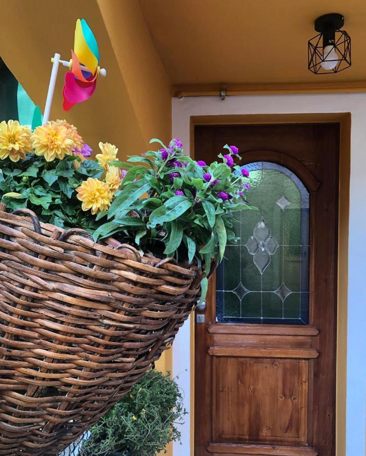 Holiday Guesthouse La Casina Di Butzi Pet Friendly - Terme Di Arta - Zoncolan Арта-Терме Экстерьер фото