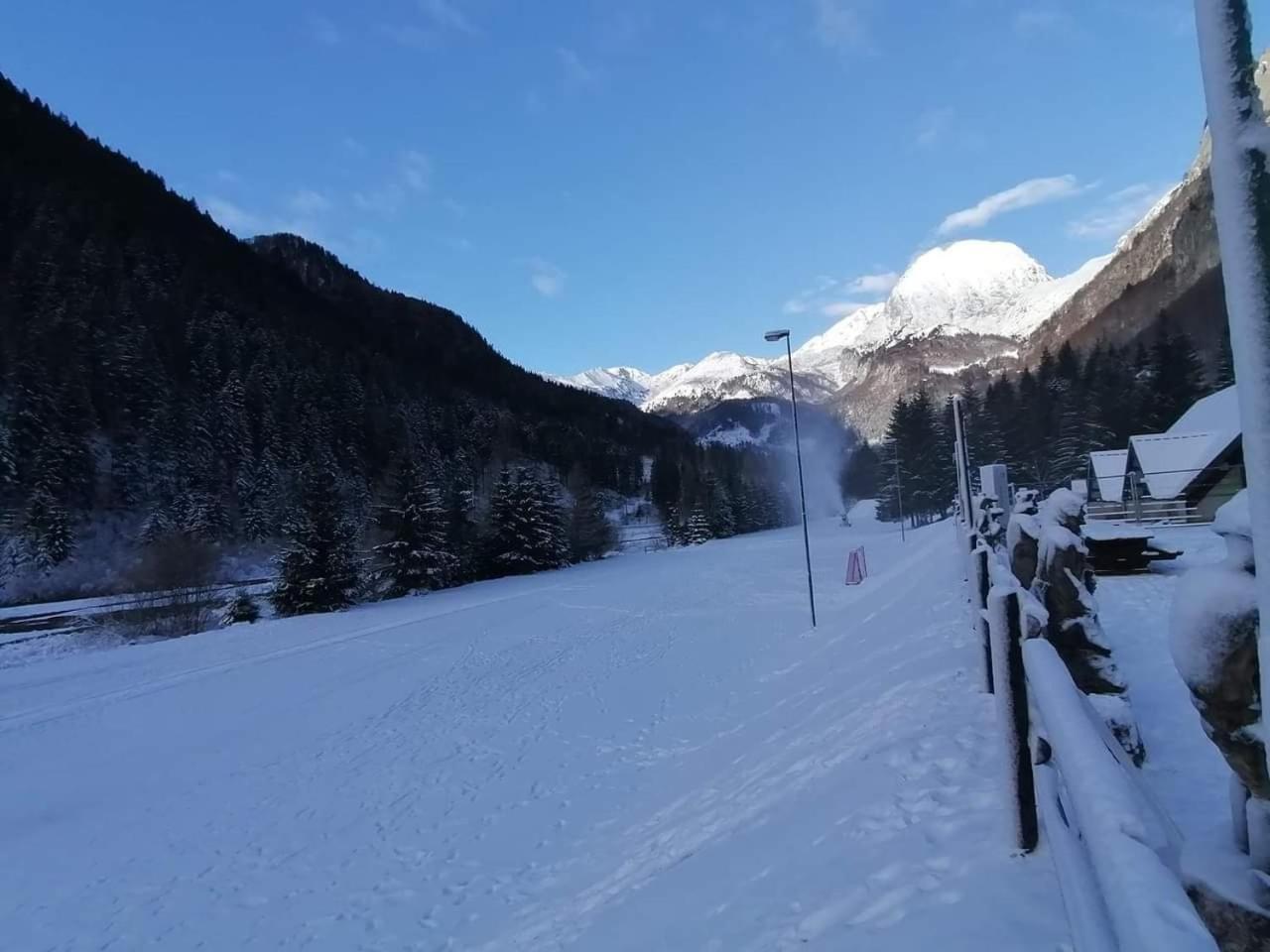 Holiday Guesthouse La Casina Di Butzi Pet Friendly - Terme Di Arta - Zoncolan Арта-Терме Экстерьер фото