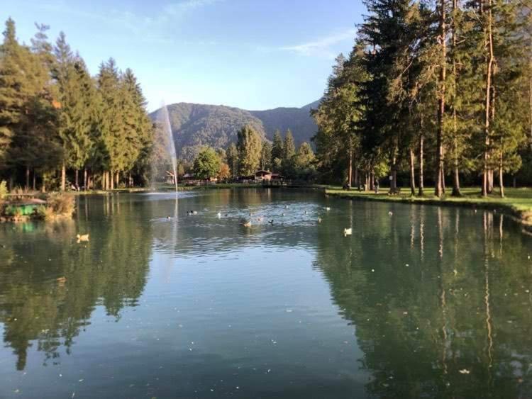 Holiday Guesthouse La Casina Di Butzi Pet Friendly - Terme Di Arta - Zoncolan Арта-Терме Экстерьер фото